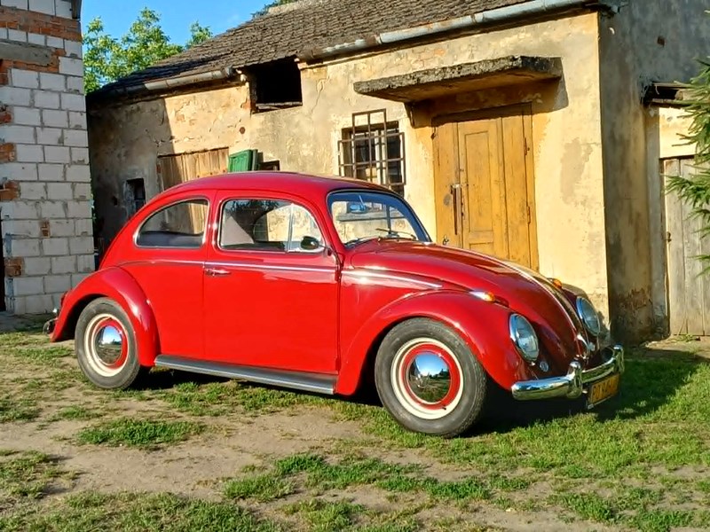 90 lat Volkswagena Garbusa na Retro Motor Show